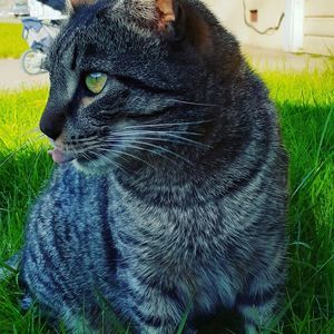 Meet your Posher, Alexandria